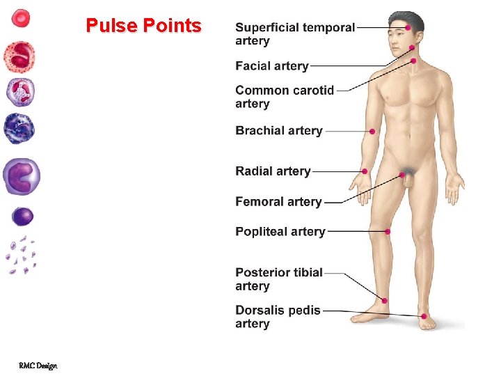 Pulse Points RMC Design 