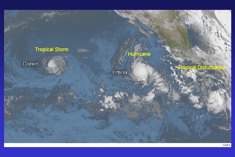 Tropical Storm Hurricane Tropical Disturbance 