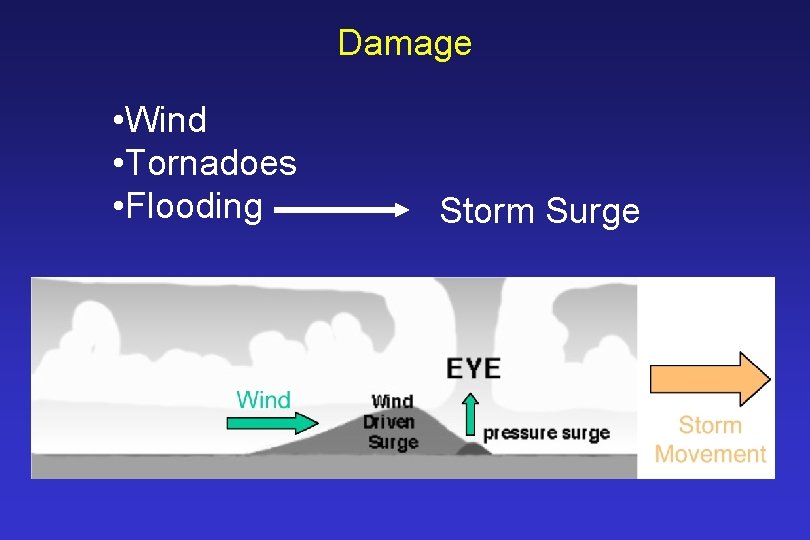Damage • Wind • Tornadoes • Flooding Storm Surge 