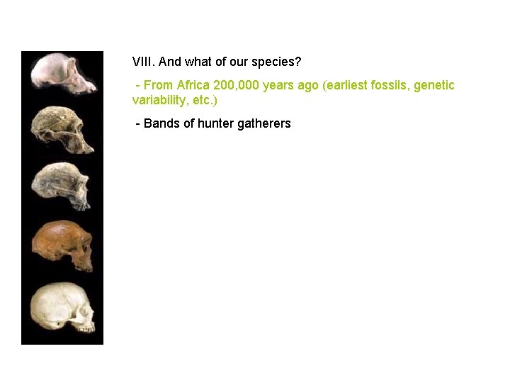 VIII. And what of our species? - From Africa 200, 000 years ago (earliest