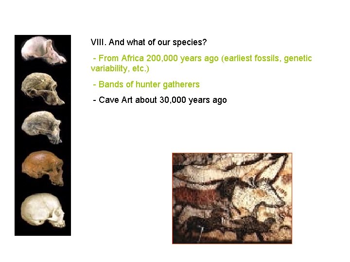 VIII. And what of our species? - From Africa 200, 000 years ago (earliest