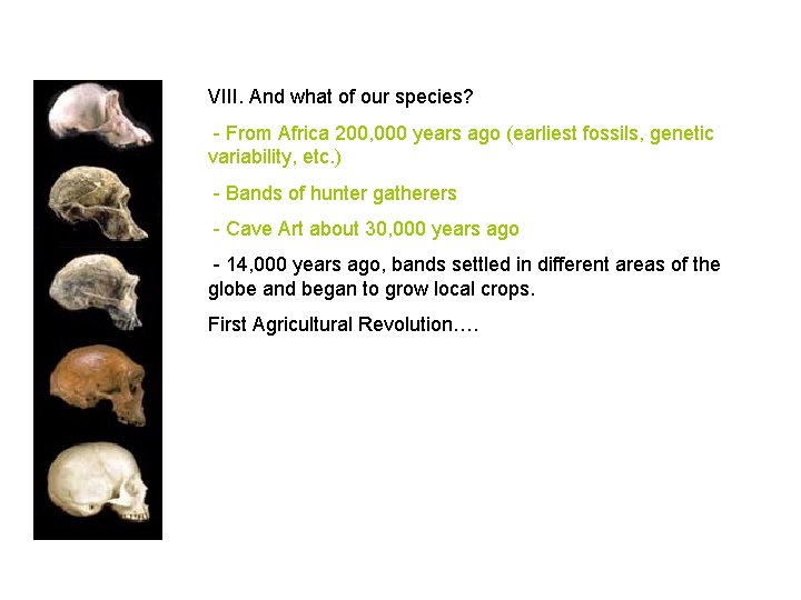 VIII. And what of our species? - From Africa 200, 000 years ago (earliest