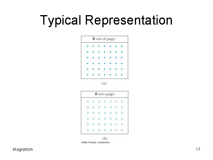 Typical Representation Magnetism 17 