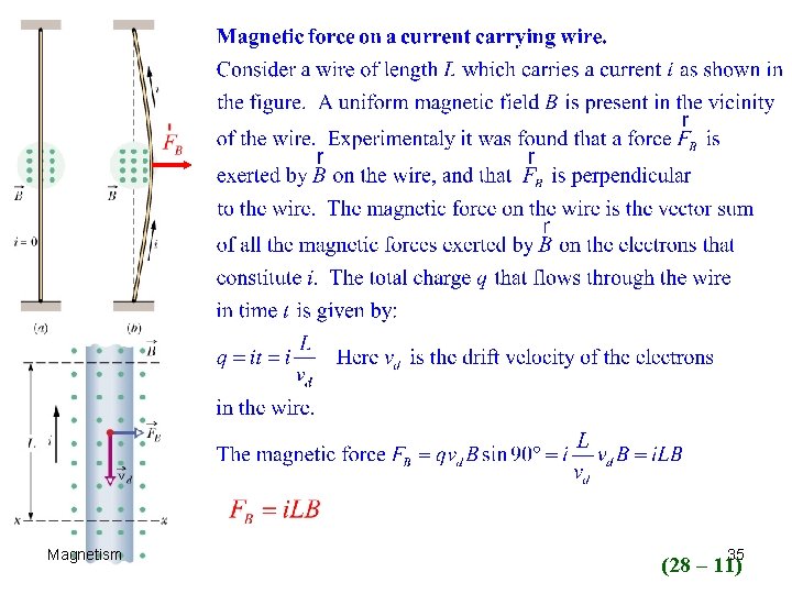 Magnetism 35 (28 – 11) 