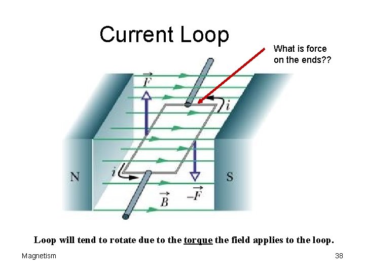 Current Loop What is force on the ends? ? Loop will tend to rotate