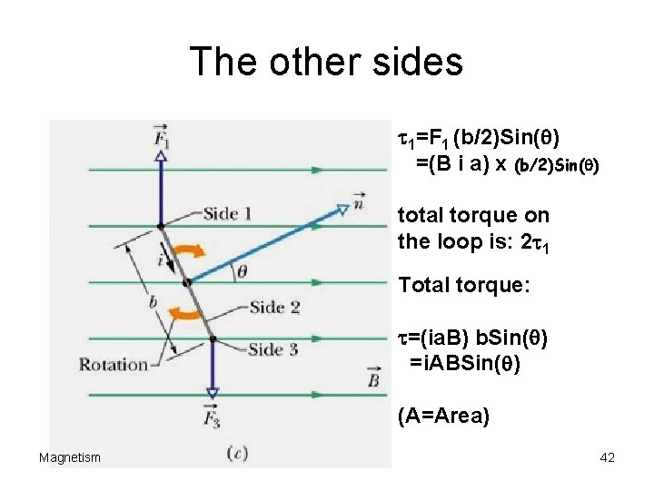 The other sides t 1=F 1 (b/2)Sin(q) =(B i a) x (b/2)Sin(q) total torque