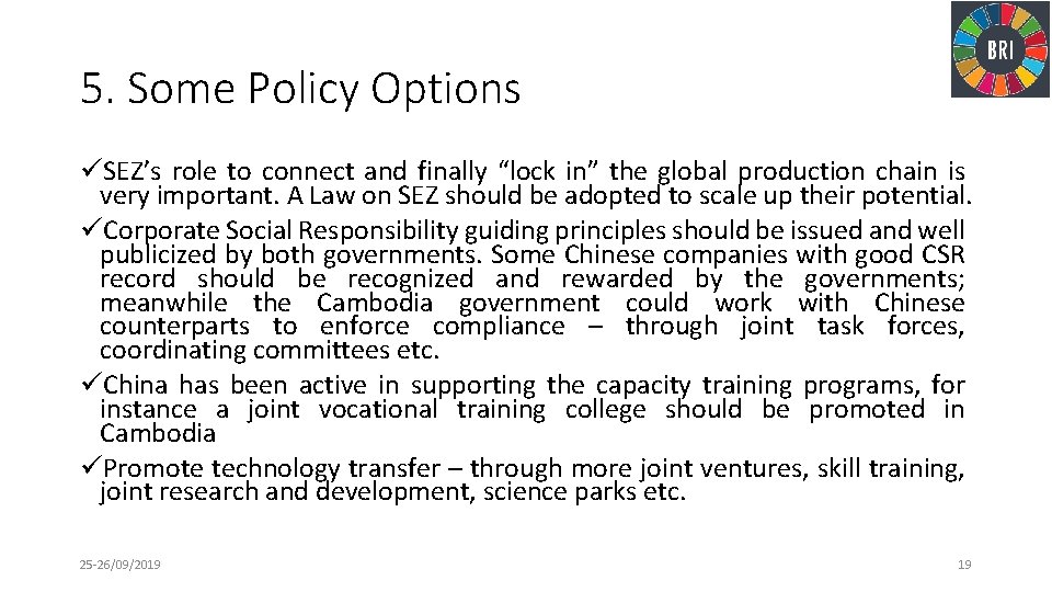 5. Some Policy Options üSEZ’s role to connect and finally “lock in” the global