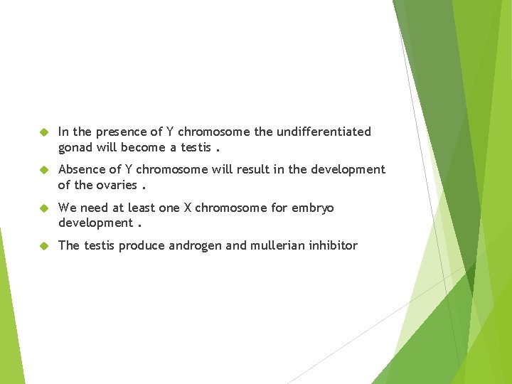  In the presence of Y chromosome the undifferentiated gonad will become a testis.