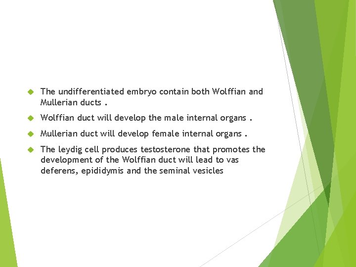  The undifferentiated embryo contain both Wolffian and Mullerian ducts. Wolffian duct will develop