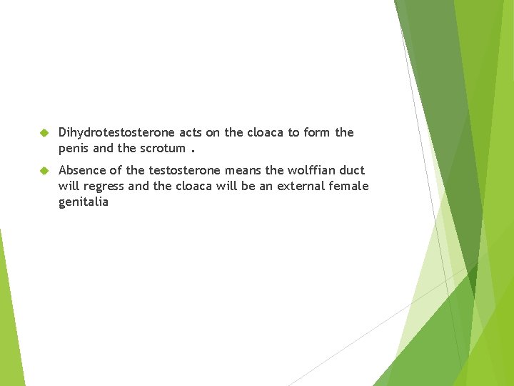  Dihydrotestosterone acts on the cloaca to form the penis and the scrotum. Absence