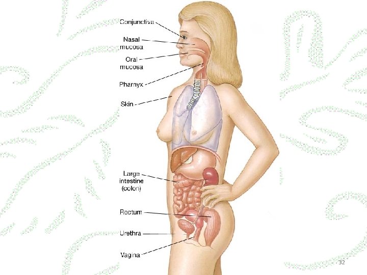 Fig. 14 -3 Pola penularan penyakit 32 