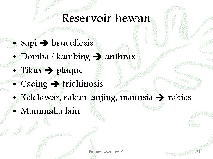 Reservoir hewan • • • Sapi brucellosis Domba / kambing anthrax Tikus plaque Cacing