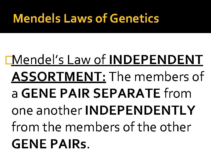 Mendels Laws of Genetics �Mendel’s Law of INDEPENDENT ASSORTMENT: The members of a GENE
