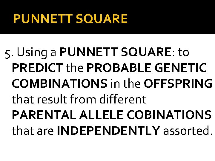 PUNNETT SQUARE 5. Using a PUNNETT SQUARE: to PREDICT the PROBABLE GENETIC COMBINATIONS in