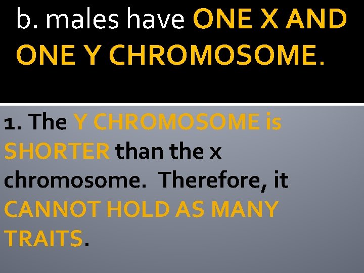 b. males have ONE X AND ONE Y CHROMOSOME. 1. The Y CHROMOSOME is