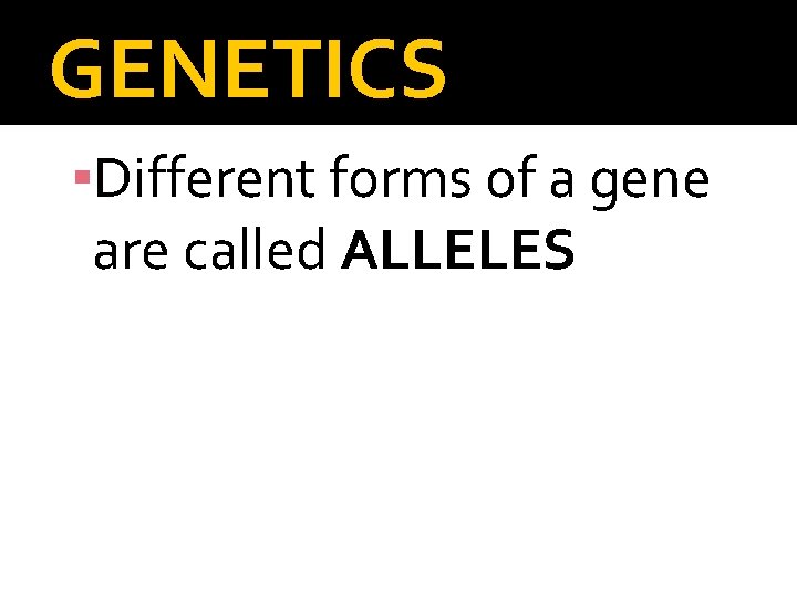 GENETICS ▪Different forms of a gene are called ALLELES ▪The TWO ALLELES are SEGREGATED