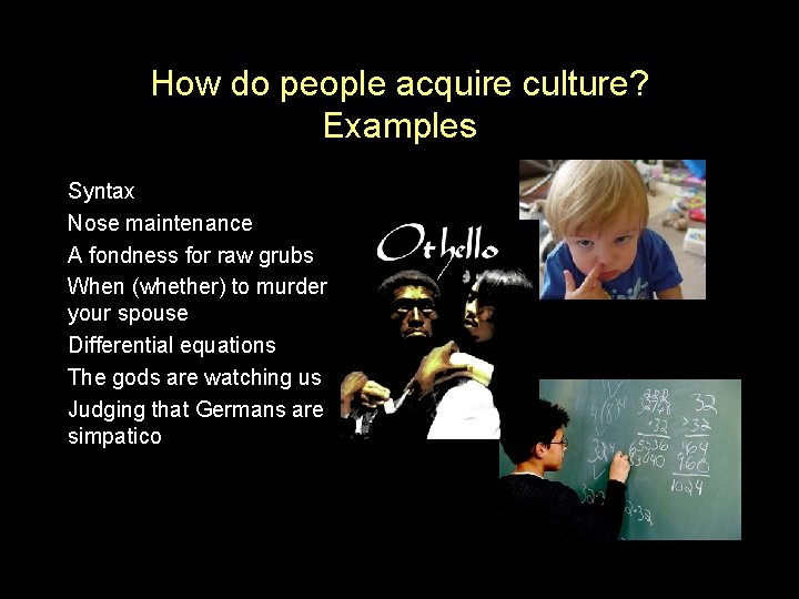 How do people acquire culture? Examples Syntax Nose maintenance A fondness for raw grubs