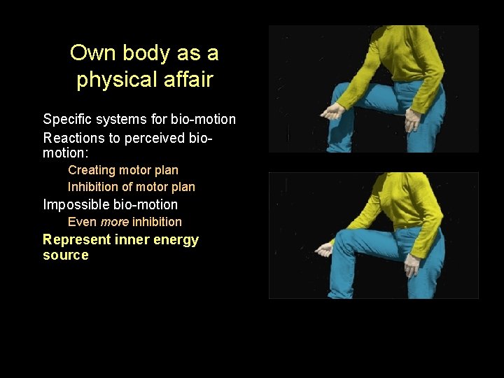 Own body as a physical affair Specific systems for bio-motion Reactions to perceived biomotion: