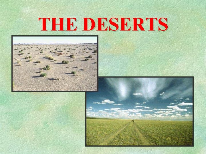 THE DESERTS 