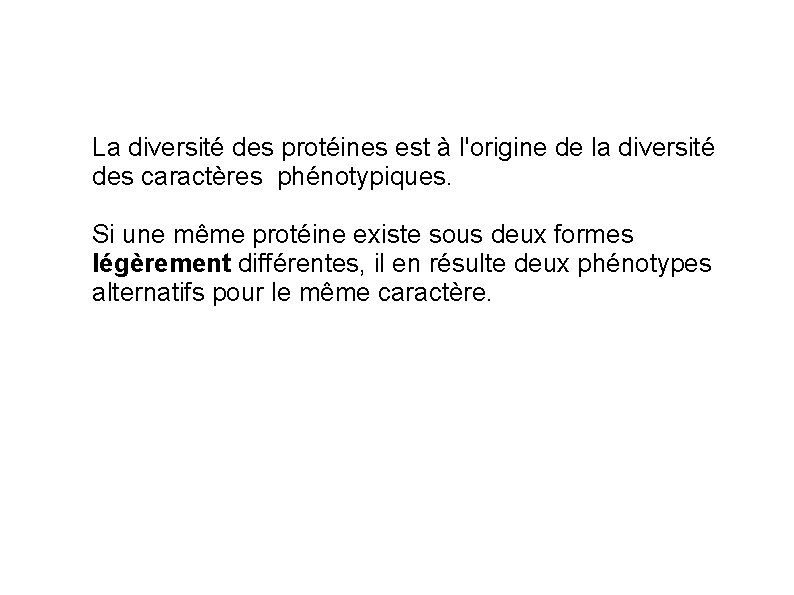 La diversité des protéines est à l'origine de la diversité des caractères phénotypiques. Si