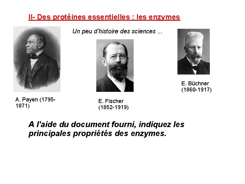 II- Des protéines essentielles : les enzymes Un peu d'histoire des sciences. . .