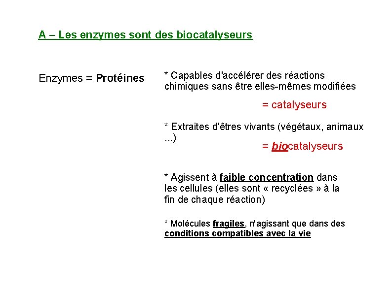 A – Les enzymes sont des biocatalyseurs Enzymes = Protéines * Capables d'accélérer des