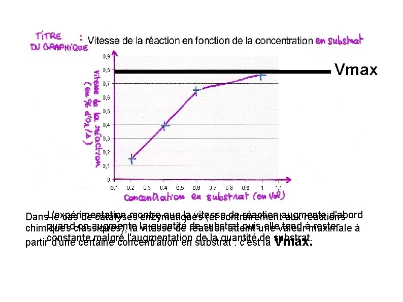 Vmax L'expérimentation montre que la vitesse de réaction augmente d'abord Dans le cas de