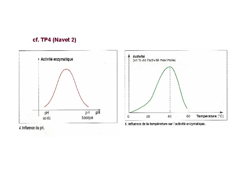 cf. TP 4 (Navet 2) 