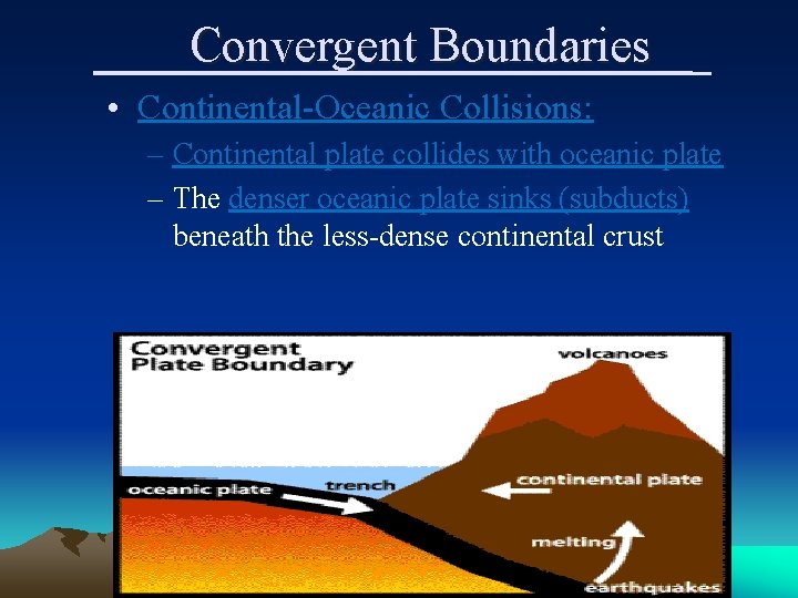 Convergent Boundaries • Continental-Oceanic Collisions: – Continental plate collides with oceanic plate – The