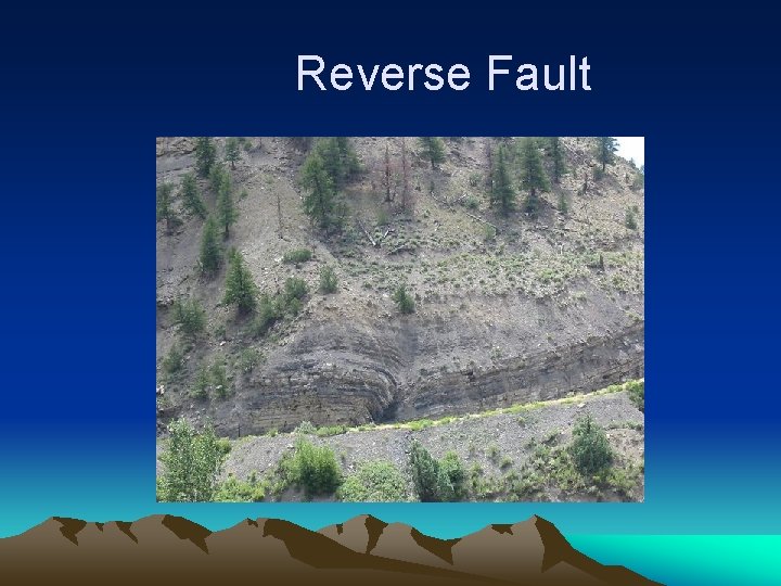 Reverse Fault 