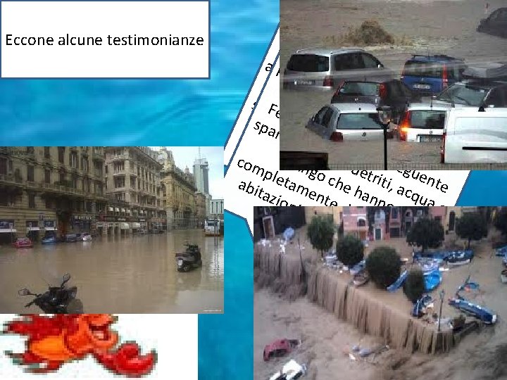 Eccone alcune testimonianze Il 4 nov em s Pur ubito bre 20 a cpare