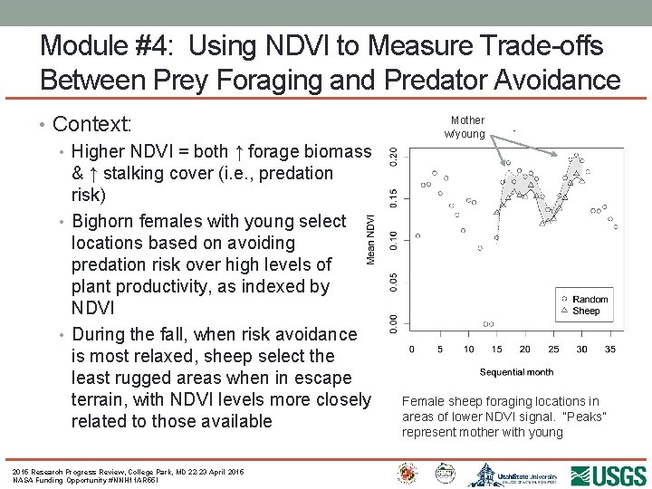 Module #4: Using NDVI to Measure Trade-offs Between Prey Foraging and Predator Avoidance •