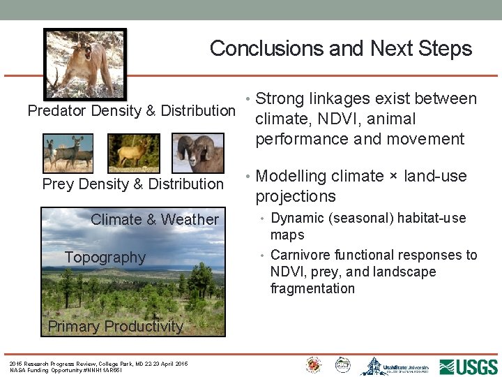 Conclusions and Next Steps Predator Density & Distribution Prey Density & Distribution Climate &
