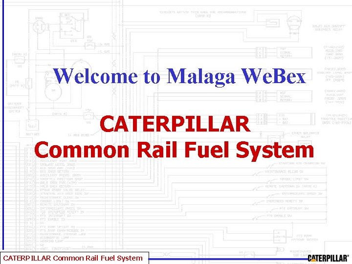 Welcome to Malaga We. Bex CATERPILLAR Common Rail Fuel System 