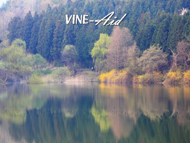 VINE-Aid 
