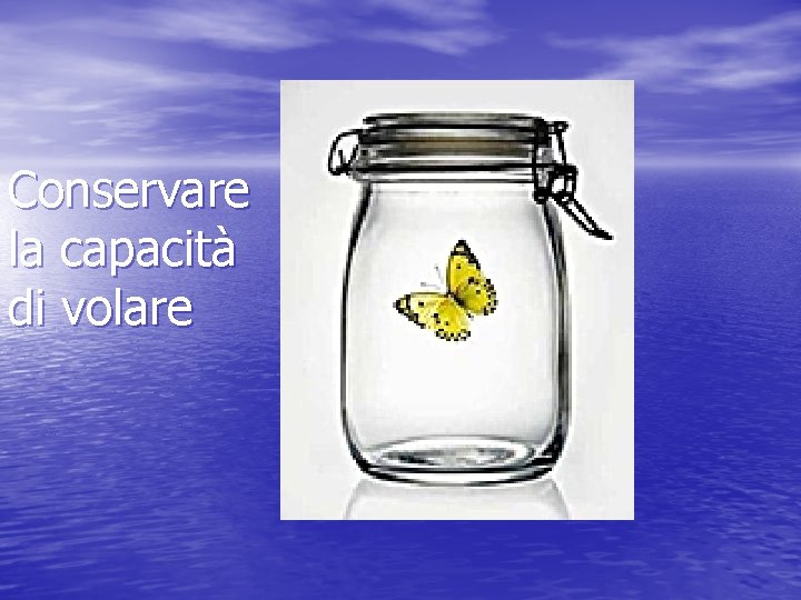 Conservare la capacità di volare 