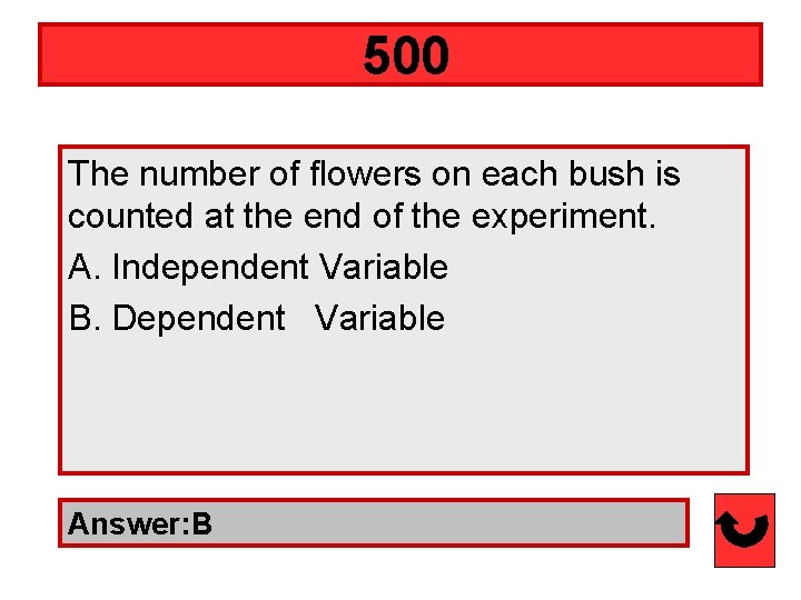 500 The number of flowers on each bush is counted at the end of
