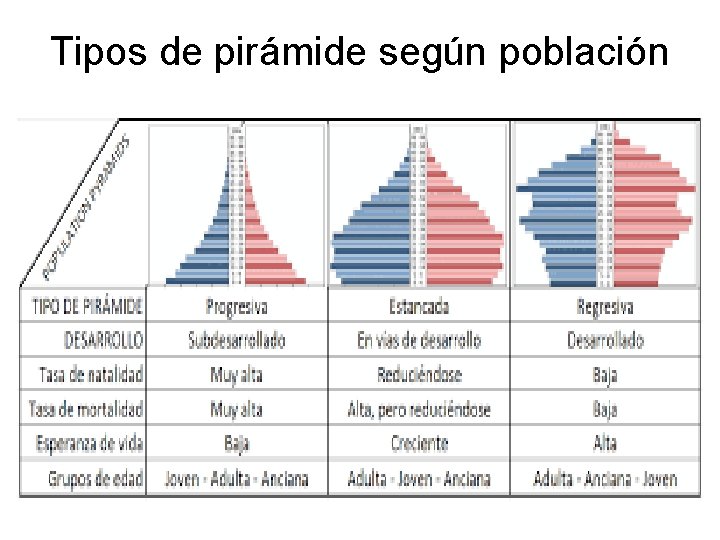 Tipos de pirámide según población 