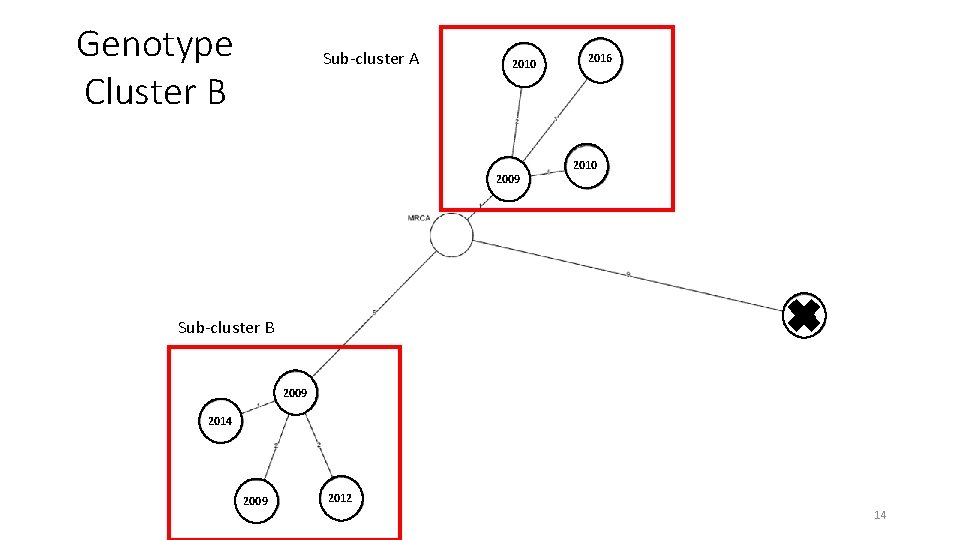 Genotype Cluster B Sub-cluster A 2010 2009 2016 2010 2016 Sub-cluster B 2009 2014
