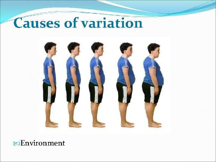 Causes of variation Environment 