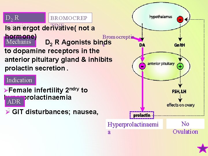 D 2 R BROMOCREP TINE Agonists Is an ergot derivative( not a hormone) Bromocreptin