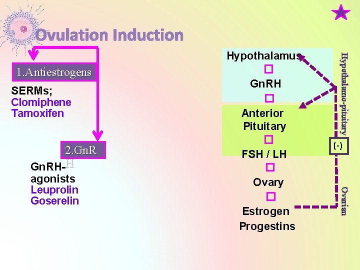 Ovulation Induction SERMs; Clomiphene Tamoxifen 2. Gn. RH-H (-) Ovarian agonists Leuprolin Goserelin Hypothalamo-pituitary