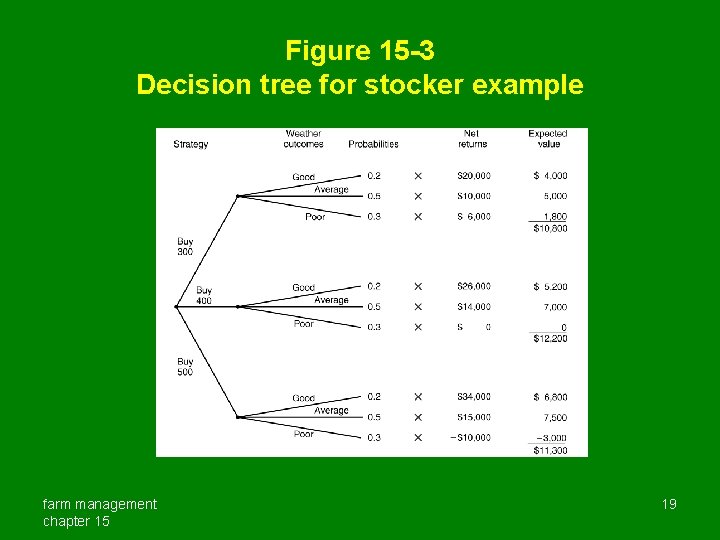 Figure 15 -3 Decision tree for stocker example farm management chapter 15 19 