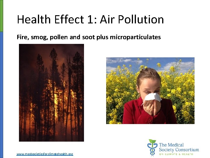 Health Effect 1: Air Pollution Fire, smog, pollen and soot plus microparticulates www. medsocietiesforclimatehealth.