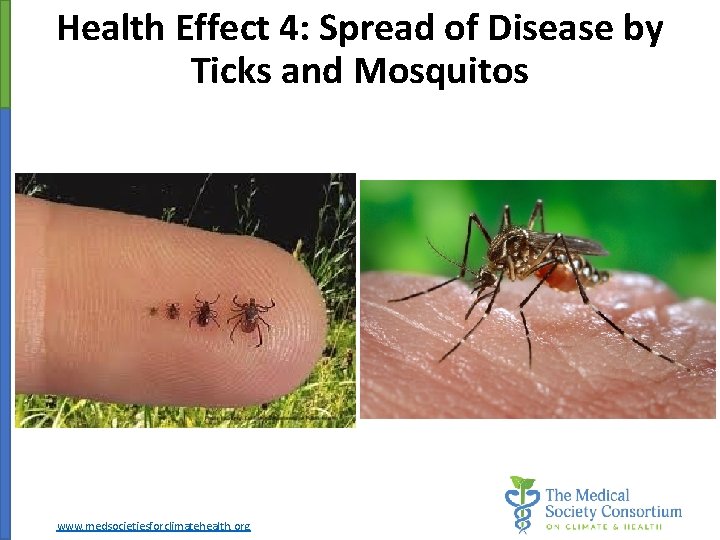 Health Effect 4: Spread of Disease by Ticks and Mosquitos www. medsocietiesforclimatehealth. org 