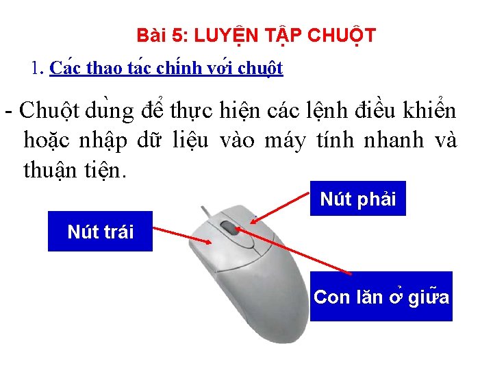 Bài 5: LUYỆN TẬP CHUỘT 1. Ca c thao ta c chi nh vơ