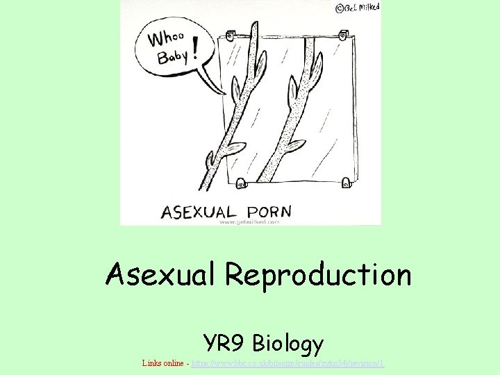 Asexual Reproduction YR 9 Biology Links online - https: //www. bbc. co. uk/bitesize/guides/zykp 34