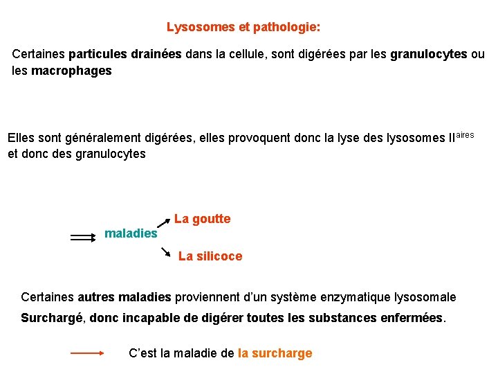  Lysosomes et pathologie: Certaines particules drainées dans la cellule, sont digérées par les
