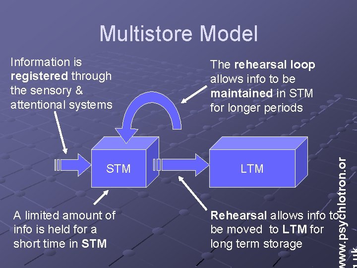 Multistore Model STM A limited amount of info is held for a short time