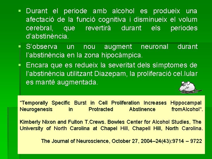 § Durant el periode amb alcohol es produeix una afectació de la funció cognitiva